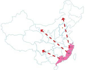 中国整木网